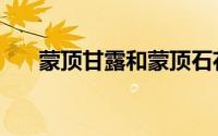 蒙顶甘露和蒙顶石花（蒙顶石花介绍）