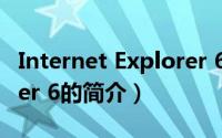 Internet Explorer 6（关于Internet Explorer 6的简介）
