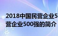 2018中国民营企业500强（关于2018中国民营企业500强的简介）