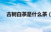 古树白茶是什么茶（古树冰白是什么茶）