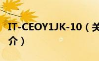 IT-CEOY1JK-10（关于IT-CEOY1JK-10的简介）