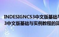 INDESIGNCS3中文版基础与实例教程（关于INDESIGNCS3中文版基础与实例教程的简介）