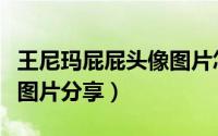 王尼玛屁屁头像图片怎么制作（恶搞屁屁头像图片分享）