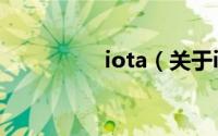 iota（关于iota的简介）
