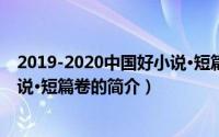 2019-2020中国好小说·短篇卷（关于2019-2020中国好小说·短篇卷的简介）