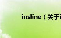 insline（关于insline的简介）