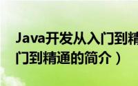 Java开发从入门到精通（关于Java开发从入门到精通的简介）