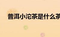 普洱小沱茶是什么茶（小沱茶是什么茶）
