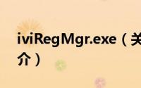 iviRegMgr.exe（关于iviRegMgr.exe的简介）