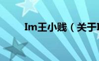 Im王小贱（关于Im王小贱的简介）