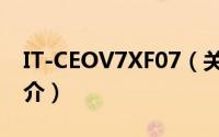IT-CEOV7XF07（关于IT-CEOV7XF07的简介）