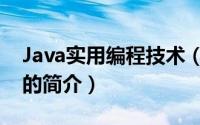 Java实用编程技术（关于Java实用编程技术的简介）