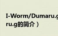 I-Worm/Dumaru.g（关于I-Worm/Dumaru.g的简介）
