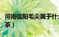 河南信阳毛尖属于什么茶（信阳毛尖属于什么茶）
