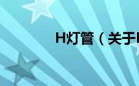 H灯管（关于H灯管的简介）