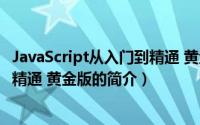 JavaScript从入门到精通 黄金版（关于JavaScript从入门到精通 黄金版的简介）