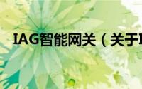 IAG智能网关（关于IAG智能网关的简介）