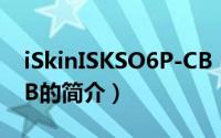 iSkinISKSO6P-CB（关于iSkinISKSO6P-CB的简介）