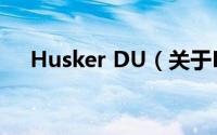 Husker DU（关于Husker DU的简介）