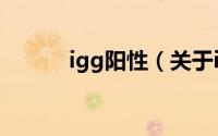 igg阳性（关于igg阳性的简介）