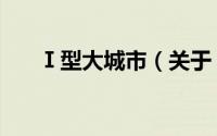 Ⅰ型大城市（关于Ⅰ型大城市的简介）