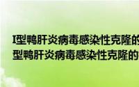 I型鸭肝炎病毒感染性克隆的构建及致病机理的研究（关于I型鸭肝炎病毒感染性克隆的构建及致病机理的研究的简介）