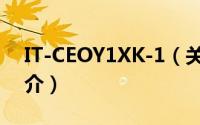 IT-CEOY1XK-1（关于IT-CEOY1XK-1的简介）