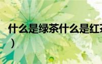 什么是绿茶什么是红茶怎么区分（什么是绿茶）