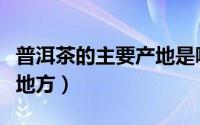 普洱茶的主要产地是哪里（普洱茶产地是哪个地方）