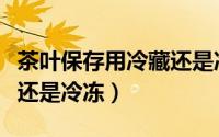 茶叶保存用冷藏还是冷冻的（茶叶保存用冷藏还是冷冻）