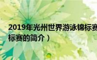 2019年光州世界游泳锦标赛（关于2019年光州世界游泳锦标赛的简介）