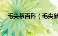 毛尖茶百科（毛尖新茶做法和历史介绍）