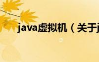 java虚拟机（关于java虚拟机的简介）