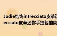 Jodie结饰intrecciato皮革迷你手提包（关于Jodie结饰intrecciato皮革迷你手提包的简介）