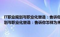 IT职业规划与职业化塑造：告诉你怎样为未来积累资本（关于IT职业规划与职业化塑造：告诉你怎样为未来积累资本的简介）