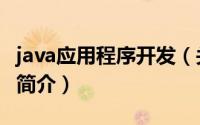java应用程序开发（关于java应用程序开发的简介）