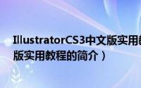 IllustratorCS3中文版实用教程（关于IllustratorCS3中文版实用教程的简介）