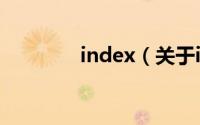 index（关于index的简介）