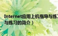 Internet应用上机指导与练习（关于Internet应用上机指导与练习的简介）