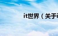 it世界（关于it世界的简介）