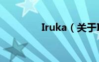 Iruka（关于Iruka的简介）
