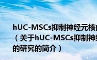 hUC-MSCs抑制神经元核内包涵体形成治疗SCA3型的研究（关于hUC-MSCs抑制神经元核内包涵体形成治疗SCA3型的研究的简介）