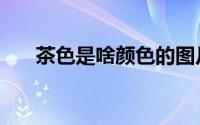 茶色是啥颜色的图片（茶色是啥颜色）