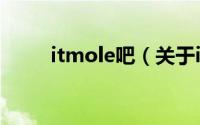 itmole吧（关于itmole吧的简介）