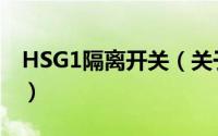 HSG1隔离开关（关于HSG1隔离开关的简介）