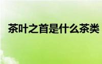 茶叶之首是什么茶类（茶叶之首是什么茶）