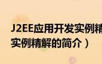 J2EE应用开发实例精解（关于J2EE应用开发实例精解的简介）