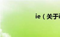 ie（关于ie的简介）