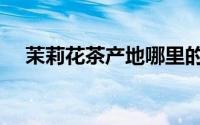 茉莉花茶产地哪里的好（茉莉花茶产地）