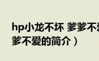 hp小龙不坏 爹爹不爱（关于hp小龙不坏 爹爹不爱的简介）